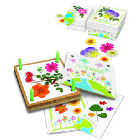 Arte Con Flores Prensadas