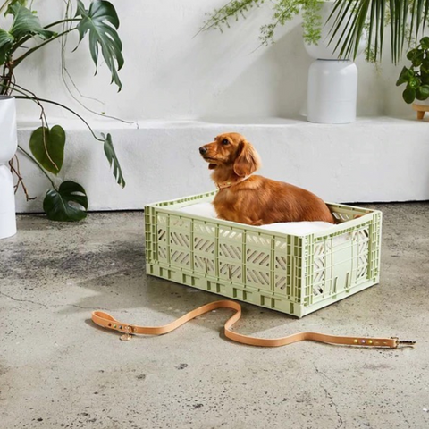 Maxi Box Lime Cream (2)
