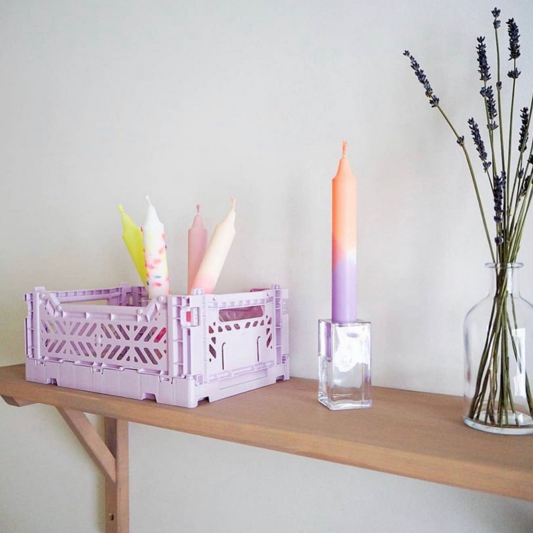 Mini Box Orchid (2)