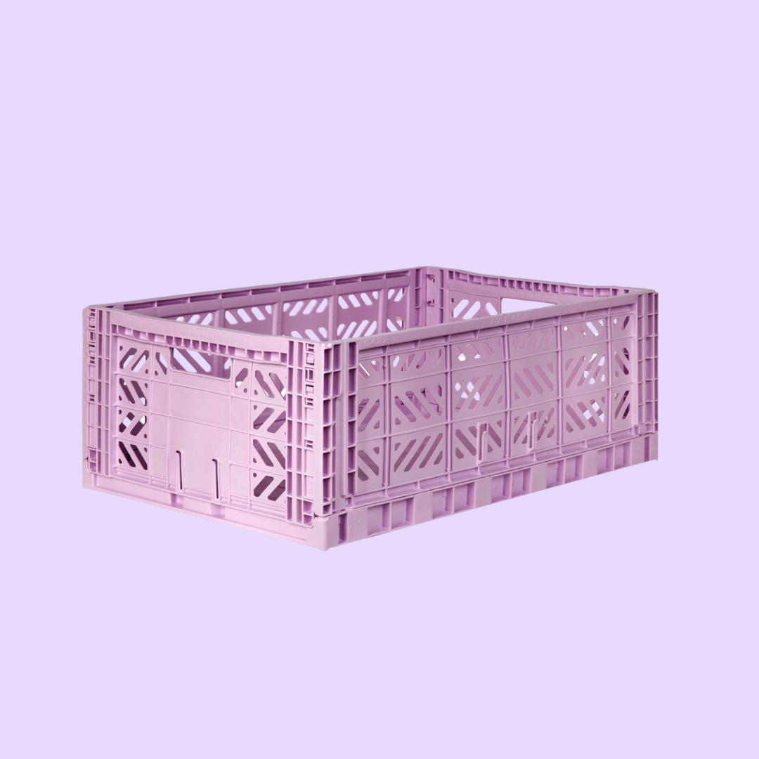 Maxi Box Orchid (1)